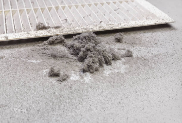 Best Emergency Air Duct Cleaning  in Mount Carmel, TN
