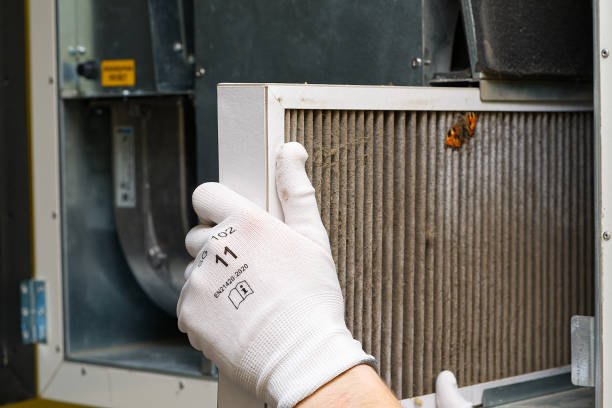 Best HVAC Maintenance and Cleaning  in Mount Carmel, TN