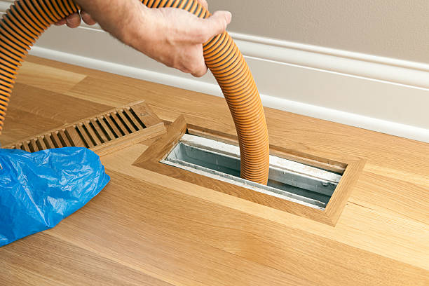 Best Professional Duct Cleaning Services  in Mount Carmel, TN
