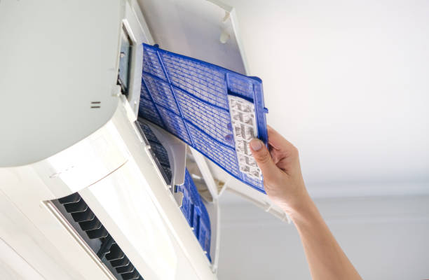 Best Air Duct Inspection  in Mount Carmel, TN